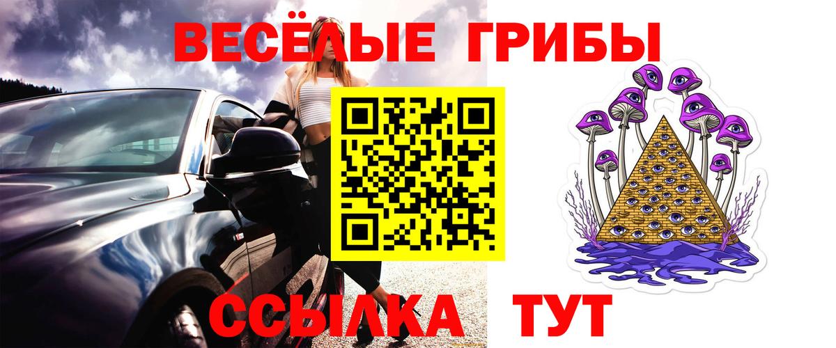 Сургут  Галлюциногенные грибы прущие грибы  Вход с VPN  Галлюциногенные грибы Psilocybe 
